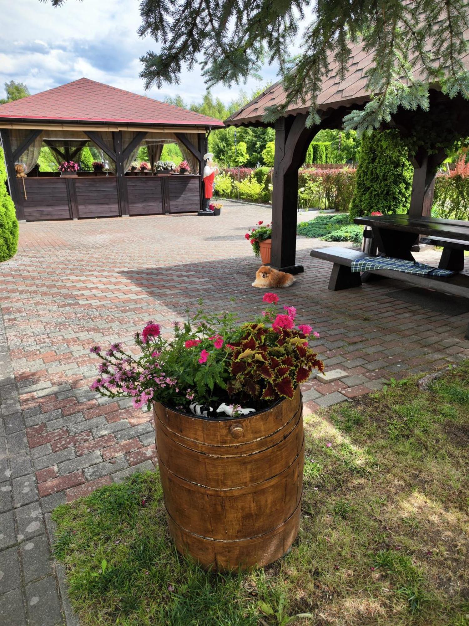 Bed and Breakfast Michalek W Rowach Rowy  Exterior foto